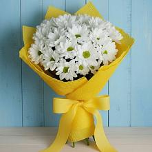 Букет цветов из:  Хризантемы в Первомайском Республика Дагестан