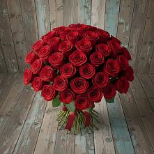 Букет 55 Красных роз Фридом #REPLACE_PRED# Первомайском Республика Дагестан