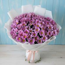 Букет цветов из:  Хризантемы #REPLACE_PRED# Первомайском Республика Дагестан