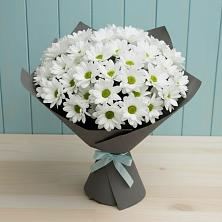 Букет цветов из:  Хризантемы в Первомайском Республика Дагестан