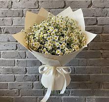 Букет цветов из:  Ромашки #REPLACE_PRED# Первомайском Республика Дагестан