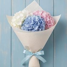 Букет цветов из:  Гортензия в Первомайском Республика Дагестан