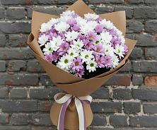 Букет цветов из:  Хризантемы #REPLACE_PRED# Первомайском Республика Дагестан