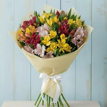 Букет цветов из:  Альстромерии в Первомайском Республика Дагестан