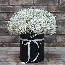 Цветочная композиция из Гипсофила в шляпной коробке в Первомайском Республика Дагестан