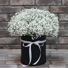 Цветочная композиция из Гипсофила в шляпной коробке в Первомайском Республика Дагестан