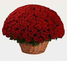 Премиум букет из: Розы в Первомайском Республика Дагестан