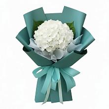 Букет цветов из:  Гортензия в Первомайском Республика Дагестан
